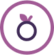Apple icon