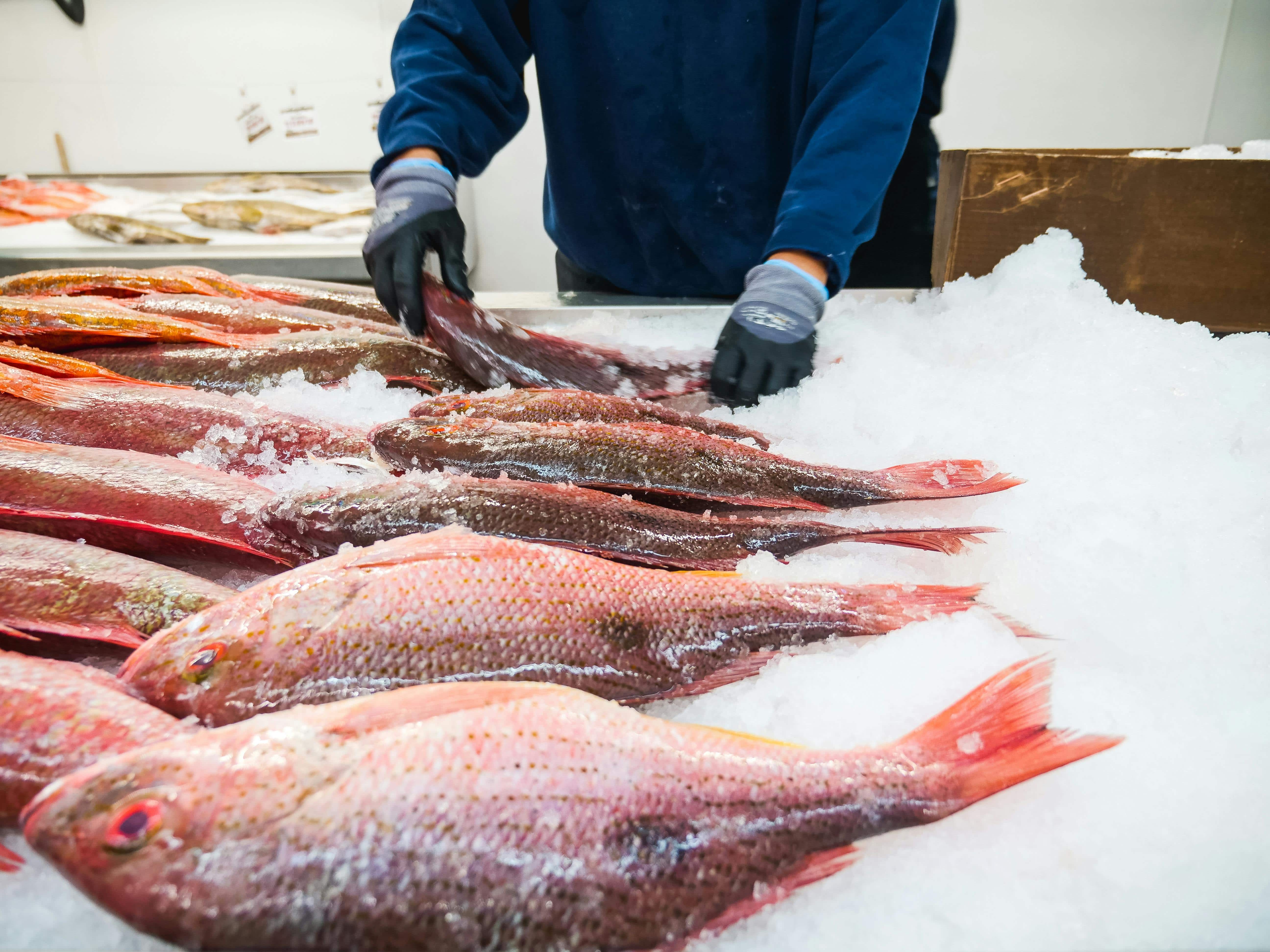 Fish monger working with fresh fish packed in ice