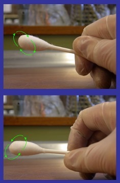 Swap being rotated in a circle by hand wearing gloves